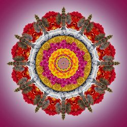 golden arms shelter the world - 70x70cm (nr 2014017)