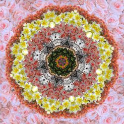 hörst du die blumen singen - 69x69cm (nr 2014025a)