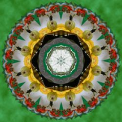 everybody is a master - 20x20cm (mandala 5b)