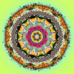 krishna's blessings - 60x60cm (mandala 14e)