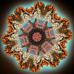 shiva's protection - 60x60cm (mandala 19g)