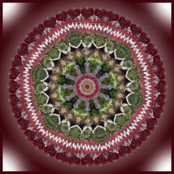 krishna in the garden - 60x60cm (mandala 24b)