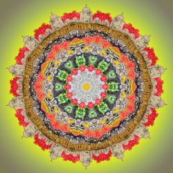 die welt ist schön - 60x60cm (mandala 9c)