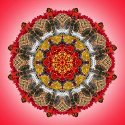 children are beautiful - 70x70cm (nr 2014015a)