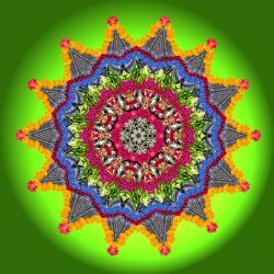 star in the green - 60x60cm (mandala 8g5)